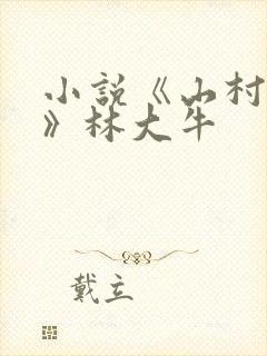 小说《山村情事》林大牛封面