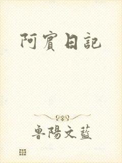阿宾日记封面