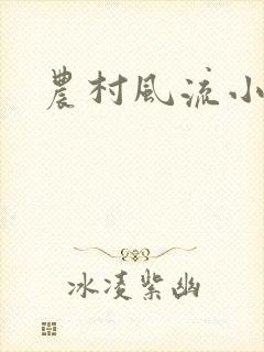 农村风流小说封面