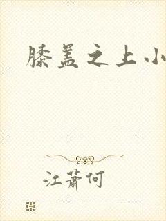 膝盖之上小说封面