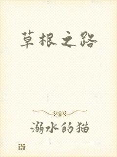 草根之路封面