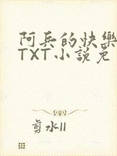 阿兵的快乐生活TXT小说免费阅读全章封面