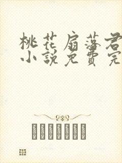 桃花扇落君不还小说免费完整版封面