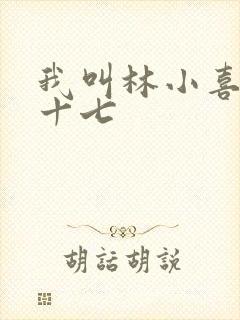 我叫林小喜今年十七
