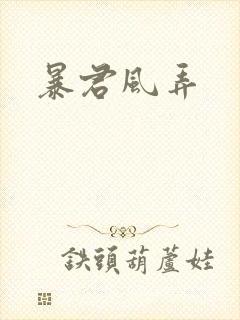 暴君风弄封面