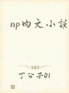 np肉文小说封面