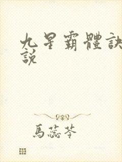 九星霸体诀 小说