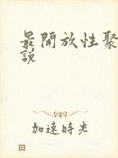 最开放性聚会小说