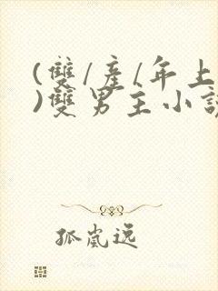 (双/产/年上)双男主小说