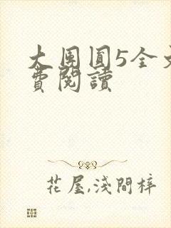 大团圆5全文免费阅读