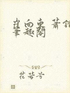 崔向东 萧错 笔趣阁封面