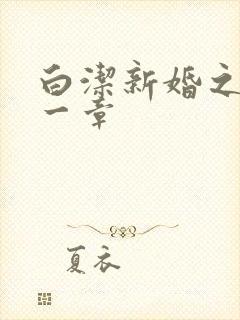 白洁新婚之夜第一章封面