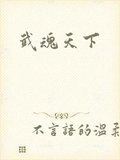 武魂天下封面