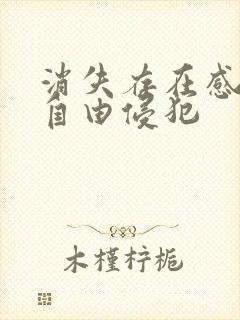 消失存在感消失自由侵犯