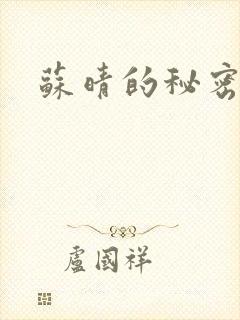 苏晴的秘密小说