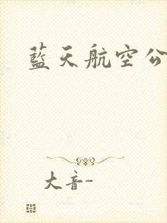 蓝天航空公司封面