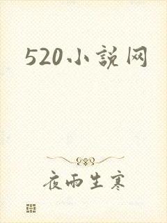 520小说网
