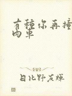 有种你再撞一下肉车