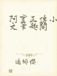 阿宾正传小说全文笔趣阁