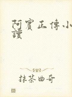 阿宾正传小说在读