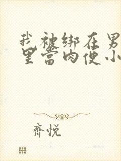 我被绑在男公厕里当肉便小说封面