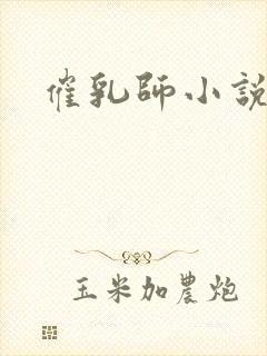 催乳师小说