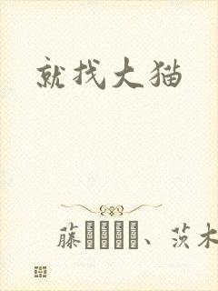 就找大猫