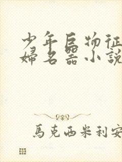 少年巨物征服美妇名器小说封面