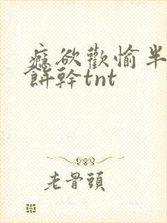 瘾欲欢愉半块小饼干tnt