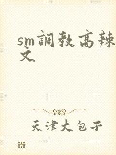 sm调教高辣h文封面