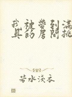 我被带到满是玩具的房间挑调游戏