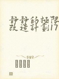 静静的极限自我改造计划17封面