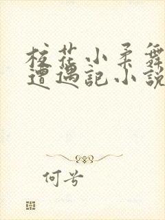 校花小柔舞蹈室遭遇记小说封面