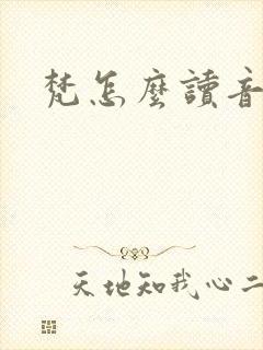 梵怎么读音封面