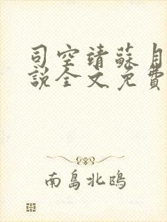 司空靖苏月汐小说全文免费阅读