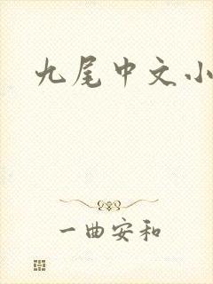 九尾中文小说网