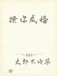 撩你成婚封面