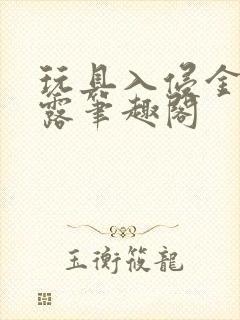 玩具入侵金银花露笔趣阁封面