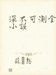 深不可测金银花小说封面