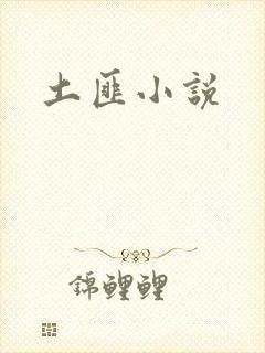 土匪小说