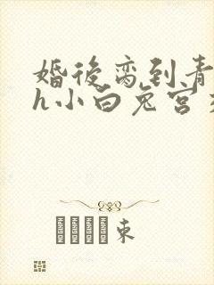 婚后脔到青梅哭h小白兔宫交h