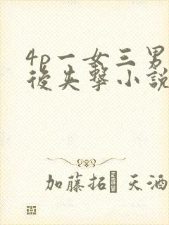 4p一女三男前后夹击小说封面