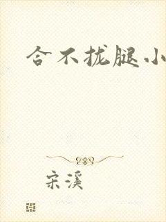 合不拢腿小说