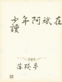 少年阿斌在线阅读