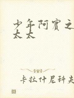 少年阿宾之房东太太封面