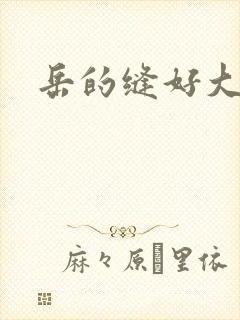 岳的缝好大封面