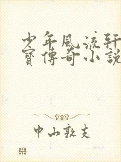 少年风流轩辕大宝传奇小说