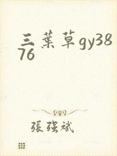 三叶草gy3876封面