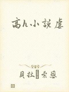 高h小说虐
