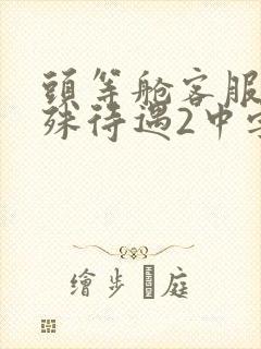 头等舱客服的特殊待遇2中字